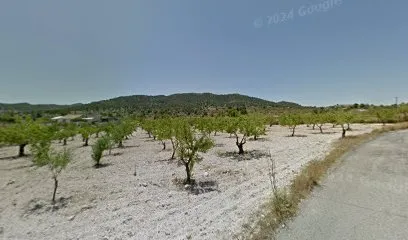 OSKIFONT en Monóvar
